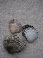 P3300031