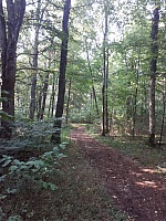 1a792e72-7a5d-4839-8515-850981fb6701