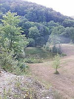 82e5ec83-f1eb-4bf3-89fd-db49af16b27d