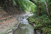 IMG_9268