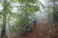 IMG_9298