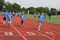 IMG_7390