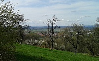 IMG-20180414-WA0014.jpg