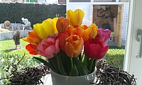 IMG-20180414-WA0015.jpg