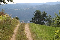 IMG_9030