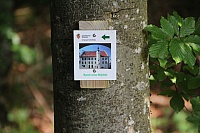 IMG_9031