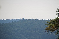 IMG_9037