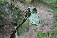 IMG_9042