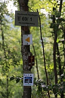 IMG_9046