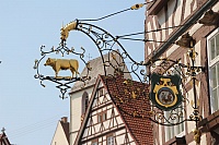 IMG_9071
