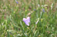 IMG_9090
