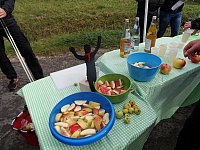 SAM_7254
