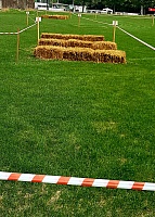 20190720_213737
