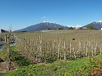 P4200001 - Kopie