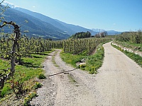 P4200009 - Kopie