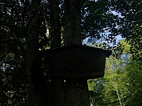 IMG-20190825-WA0025