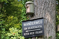 IMG_1555