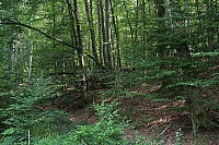 IMG_1559