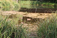 IMG_1568