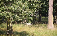 IMG_1578