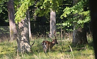 IMG_1580
