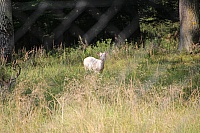 IMG_1581