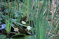 IMG_1586