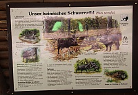 IMG_1594