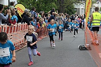 IMG_9771.JPG