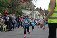 IMG_9787.JPG