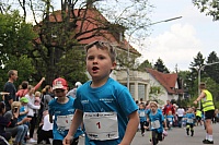 IMG_9806.JPG