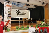 IMG_9311
