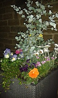 IMG-20190321-WA0002