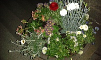 IMG-20190321-WA0006