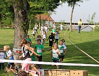 IMG_1930