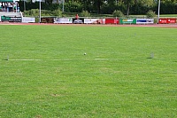 IMG_1977