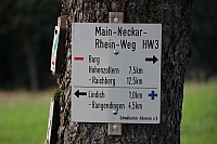 IMG_1794