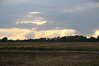 IMG_1798