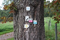 IMG_1813