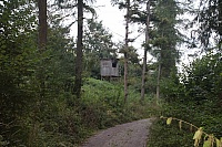 IMG_1818