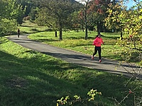 IMG_0921