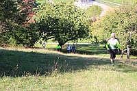 IMG_8193