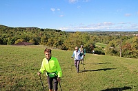 IMG_8198