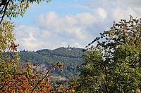 IMG_8206