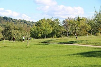 IMG_8209