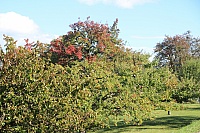 IMG_8210
