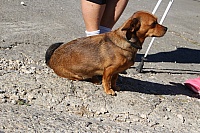 IMG_8214