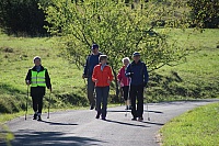 IMG_8235
