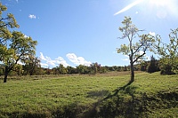 IMG_8242