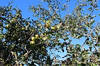 IMG_8249